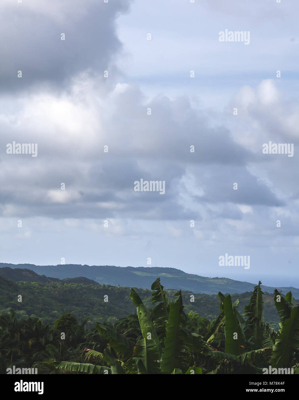 Las opiniones de los países en Barbados Foto de stock