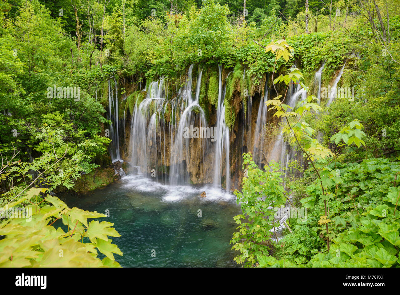 Parque Nacional de los Lagos de Plitvice, declarado Patrimonio de la Humanidad por la UNESCO, Croacia, Europa Foto de stock