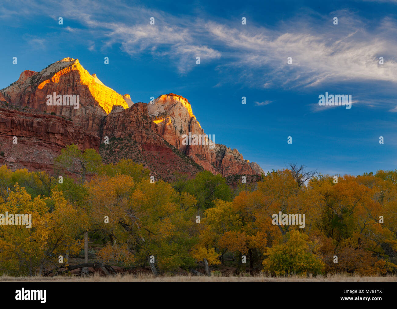 Al amanecer, El Sentinel, el Parque Nacional de Zion, Utah Foto de stock