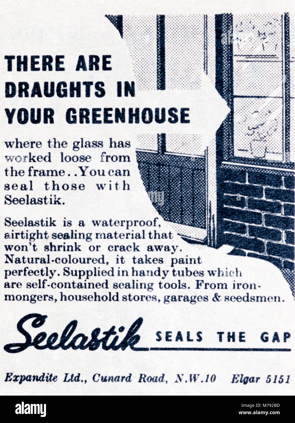 Una revista de 1950 Anuncio publicitario invernadero Seelastik sellador. Foto de stock