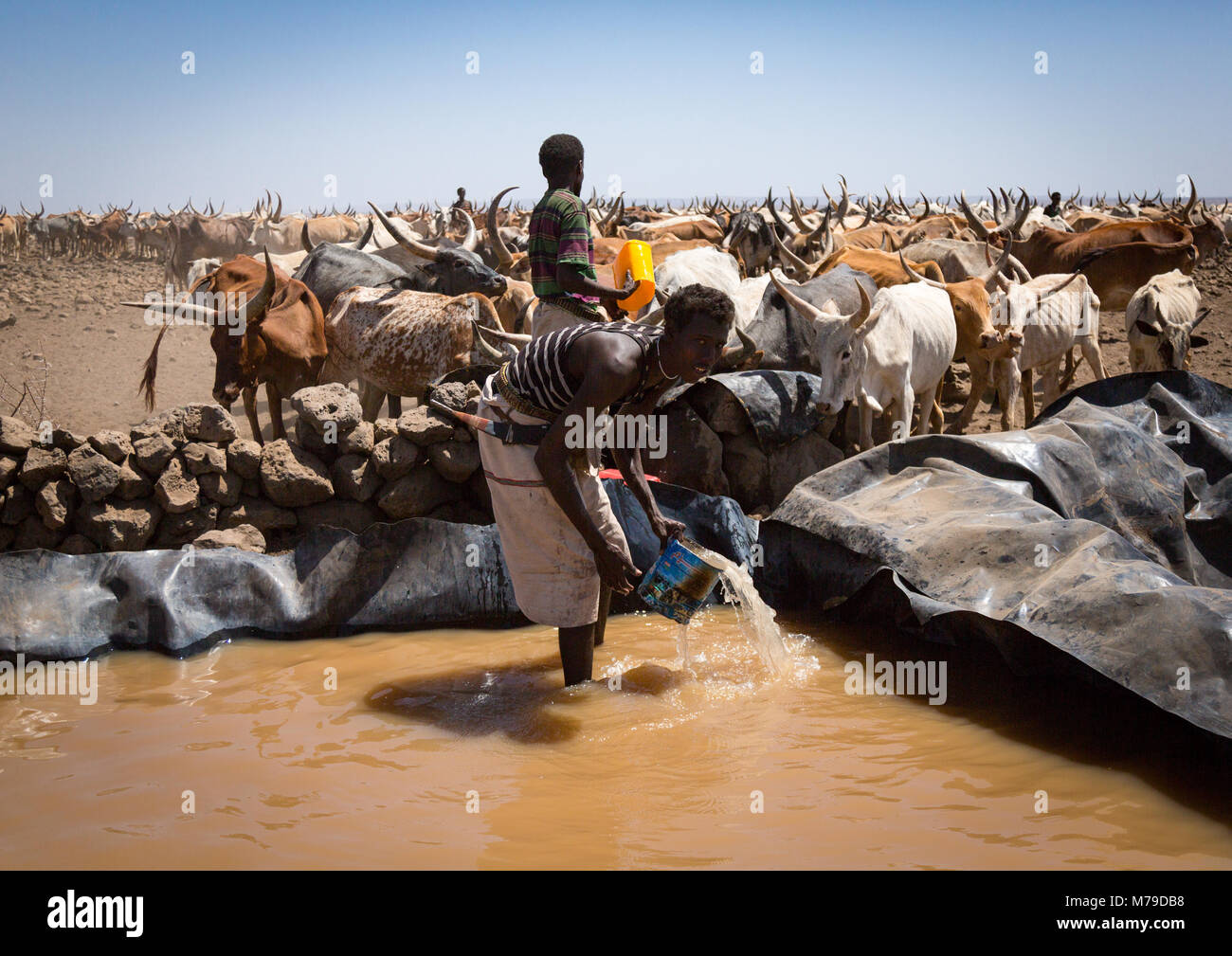 El pueblo somalí para recoger el agua de un tanque en el desierto, la región de Afar, parque nacional Yangudi rassa, Etiopía Foto de stock