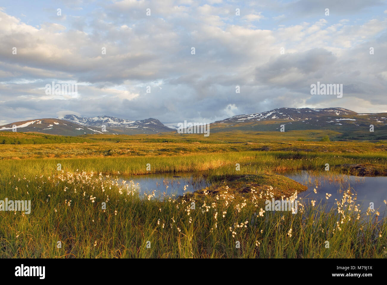 Suecia, Laponia, el Parque Nacional Padjelanta, estanque, paisaje Foto de stock