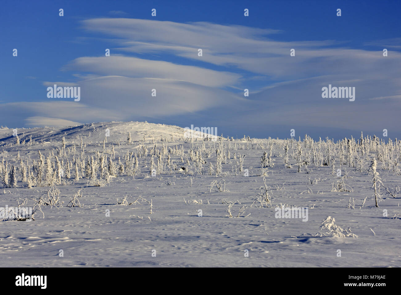 América del Norte, los Estados Unidos, Alaska, en el norte de Alaska, James Dalton Highway, paisaje invernal, Foto de stock