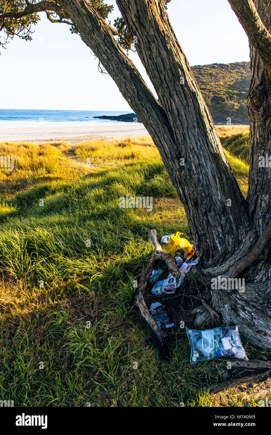La basura bajo el árbol junto al Tapotupotu Bay camping, el camping más cercano a Cape Reinga, Isla del Norte, Nueva Zelanda Foto de stock
