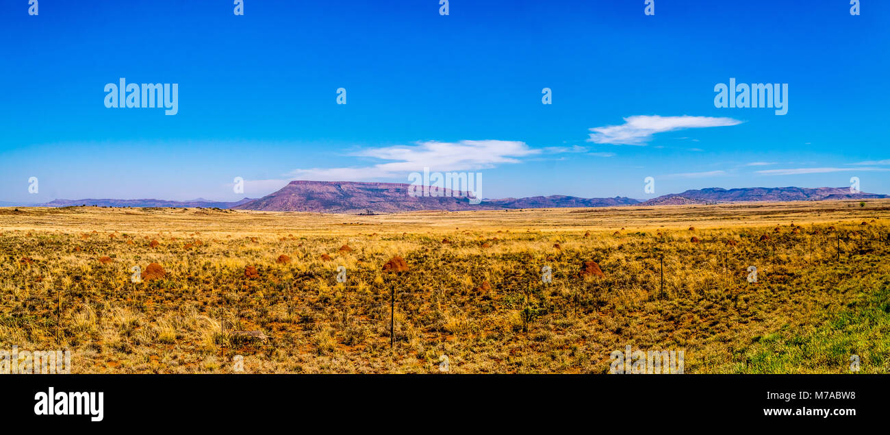 Amplia interminable paisaje abierto del semi desierto Karoo, región en estado libre y las provincias de Eastern Cape en Sudáfrica bajo un cielo azul Foto de stock
