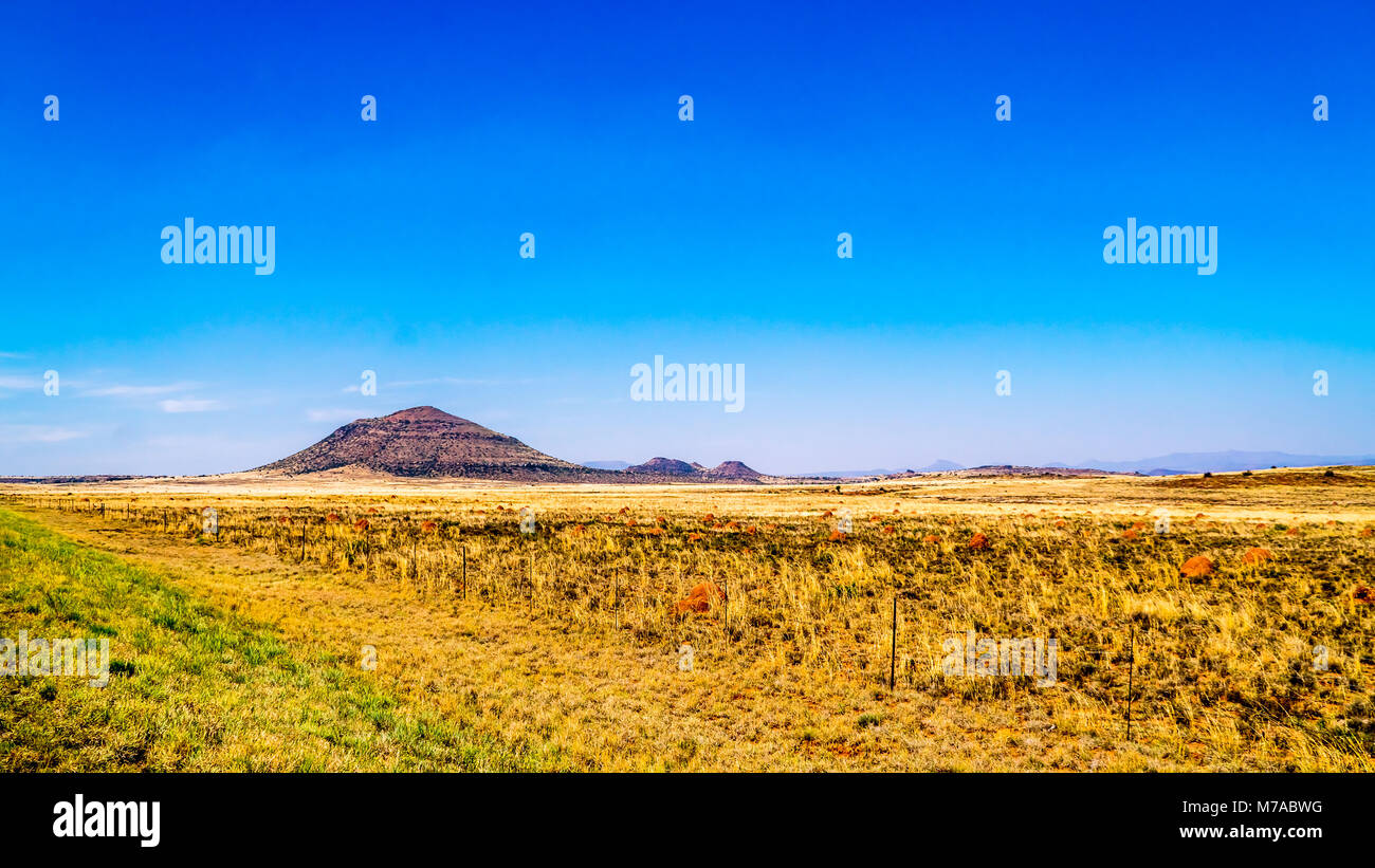 Amplia interminable paisaje abierto del semi desierto Karoo, región en estado libre y las provincias de Eastern Cape en Sudáfrica bajo un cielo azul Foto de stock