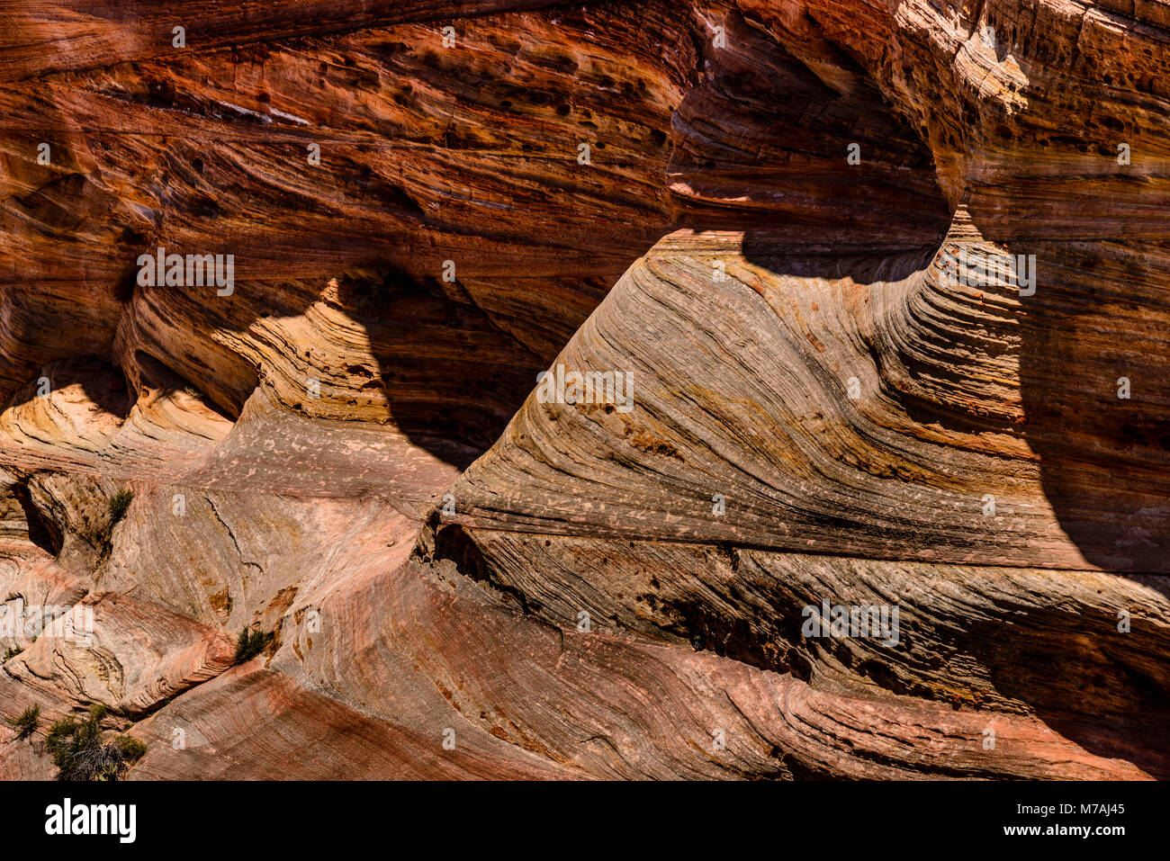 Los Estados Unidos, Utah, Condado de Washington, Springdale, el Parque Nacional de Zion, Zion Canyon, Echo Canyon, vista desde el punto de observación Trail Foto de stock