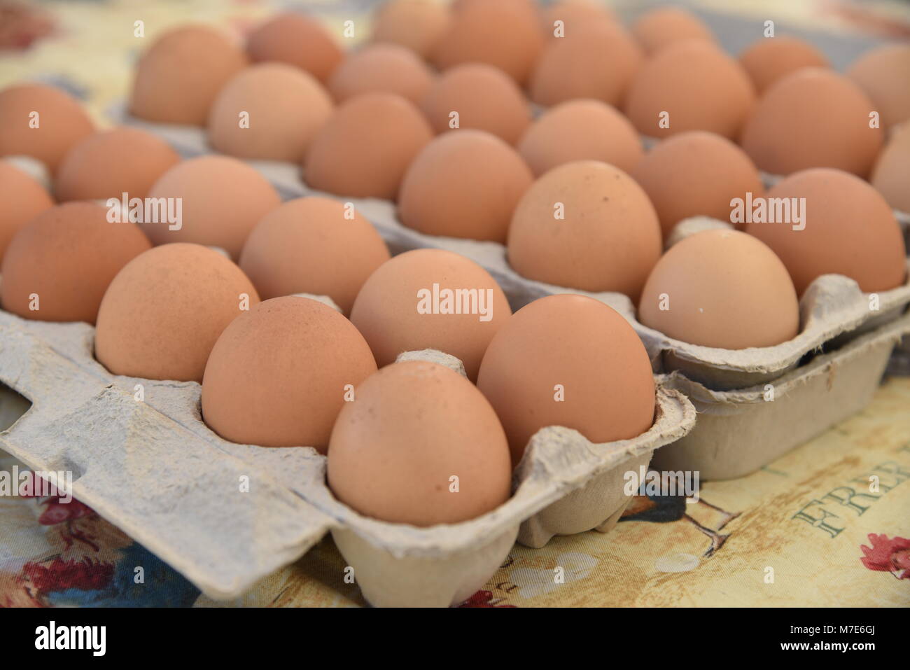 Compre Huevos Frescos De La Tabla Del Pollo De La Granja Brown Y Huevos  Blancos Frescos De La Tabla De Brown/huevo Fresco Del Pollo y Huevos De  Gallina Marrón de Reino Unido