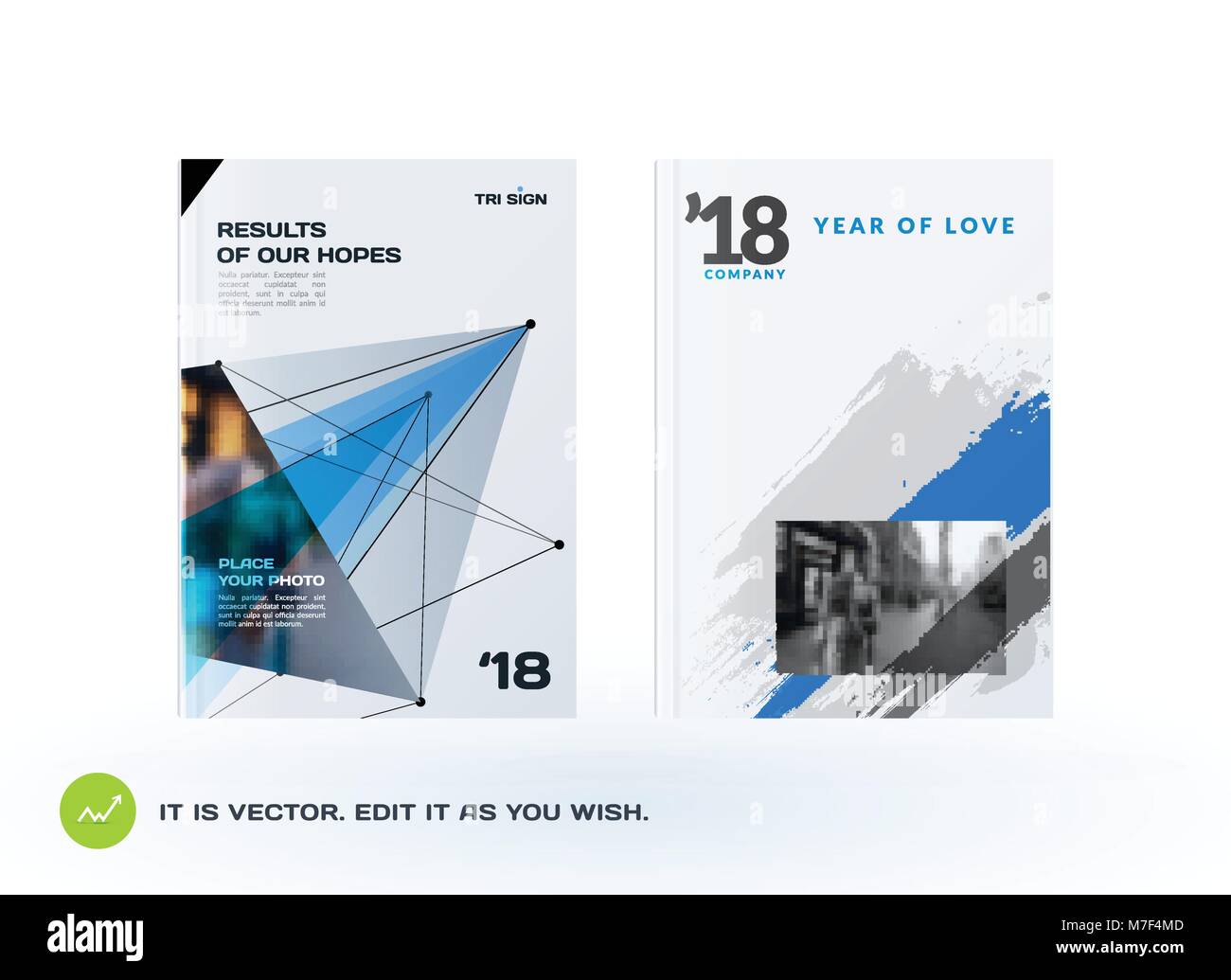 Conjunto de diseño de folleto, resumen de informe anual, cubierta. Ilustración del Vector