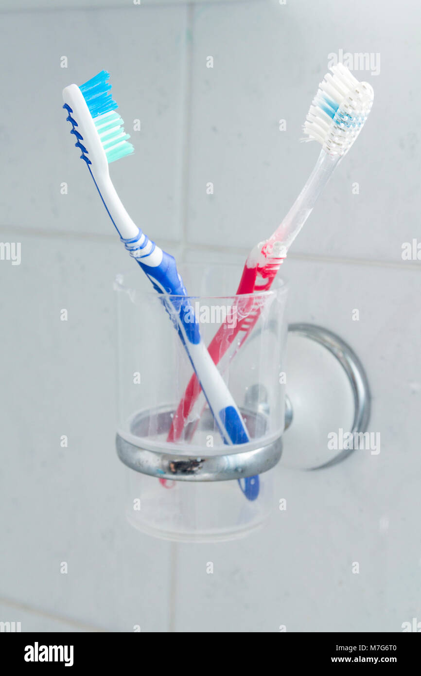 Él y Ella cepillos de colores en plástico soporte para vaso de precipitado  sobre los azulejos en el baño. Utilizado y signos de cepillos y pasta de  dientes en el vaso. Rojo