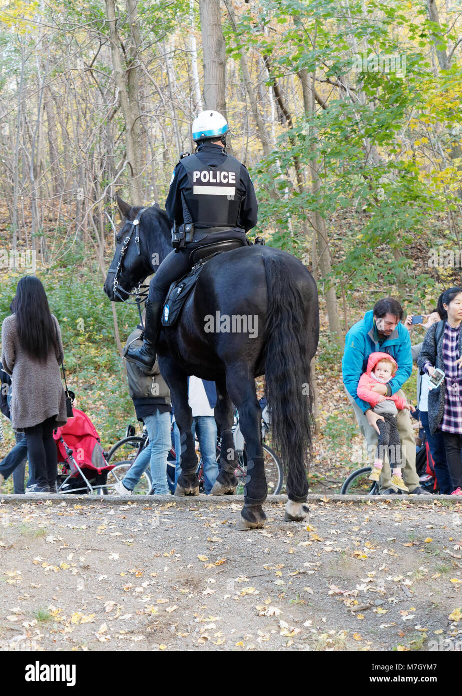 Un oficial de la policía montada de Montreal en Mount Royal, de Montreal, Canadá Foto de stock