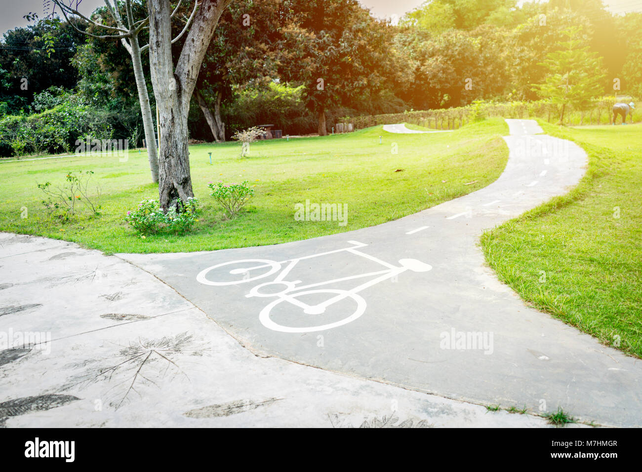 Bicicleta blanca camino cantan en carriles bici en el parque. Foto de stock