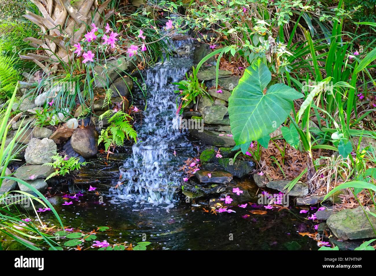 Cascada, Costa Natura Jardines Botánicos, Spring Hill, Florida Foto de stock