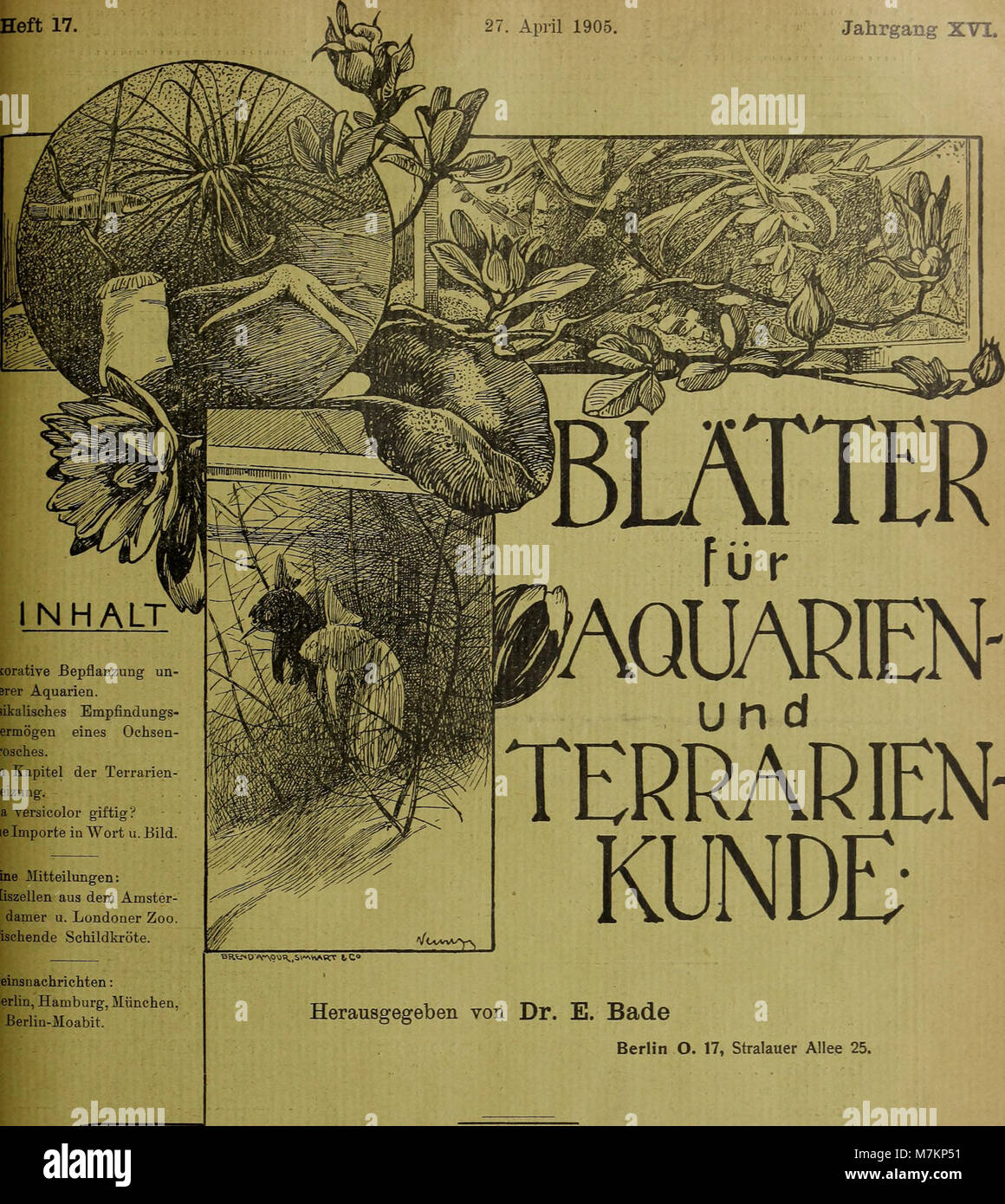 Blätter für Aquarien- und Terrarien-Kunde (1905) (20199344510) Foto de stock