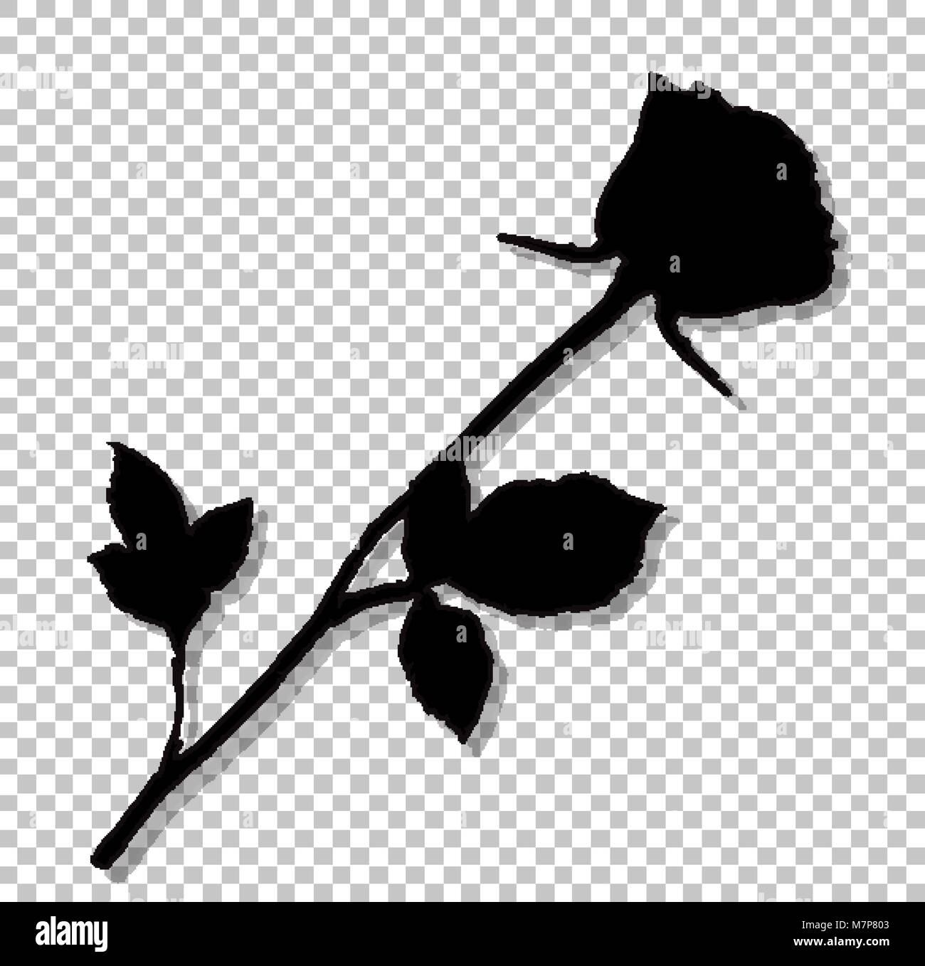 Silueta negra de rosa flor aislado sobre fondo transparente. Hermoso  capullo de rosa de tallo largo. Ilustración vectorial monocroma, signo,  símbolo Imagen Vector de stock - Alamy