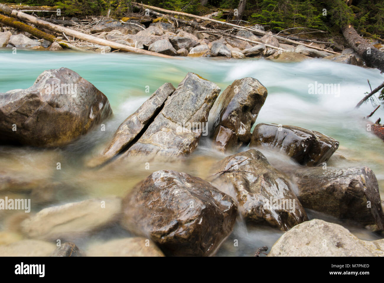 En el cañón del río Coquihalla Provincial Park, cerca de esperanza, British Columbia Foto de stock