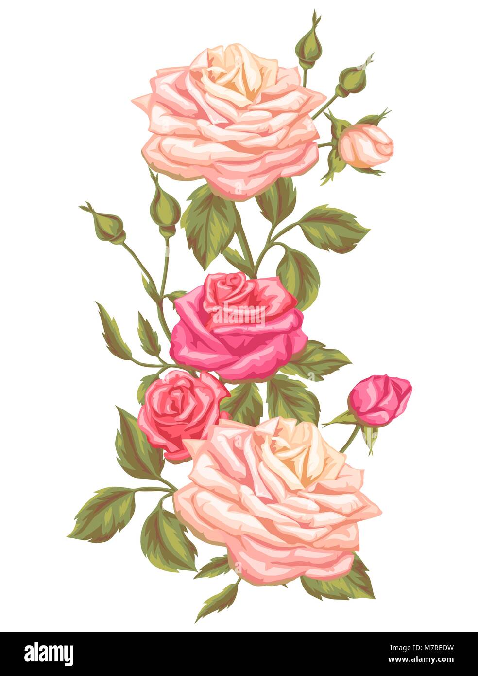 Elemento floral con rosas vintage. Retro decorativas flores. Imagen para  invitaciones de boda, tarjetas, folletos romántico Imagen Vector de stock -  Alamy