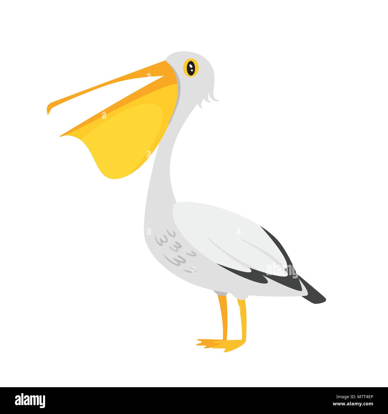 Estilo de dibujos animados Vector ilustración de un zoológico de animales - Pelícano. Aislado sobre fondo blanco Imagen Vector de stock - Alamy Estilo de dibujos animados Vector ilustración de un zoológico de animales - Pelícano. Aislado sobre fondo blanco Imagen Vector de stock - Alamy
