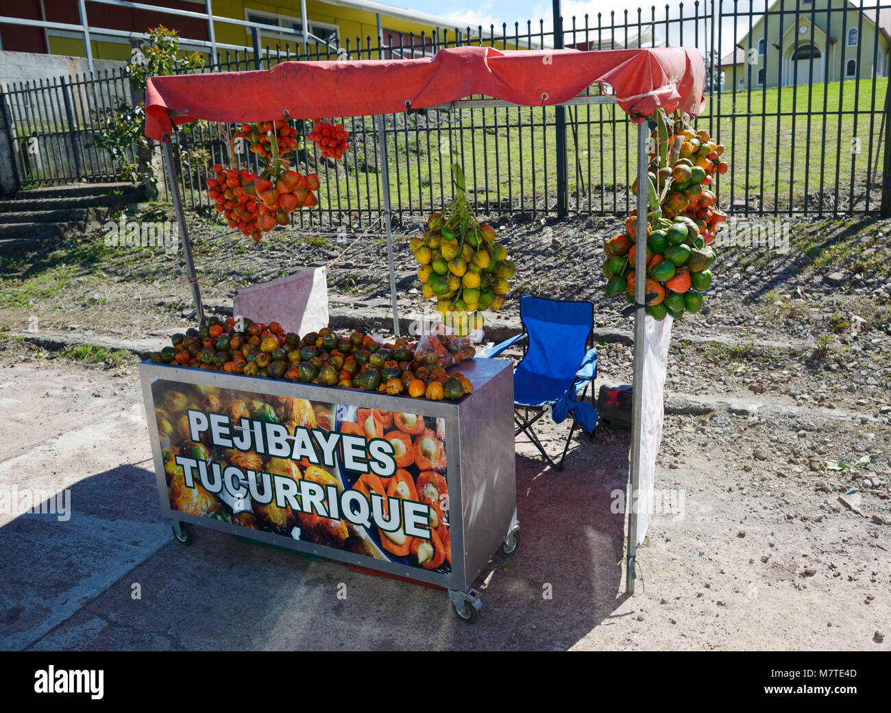 Puesto de frutas venta de pejibayes, fruto de Bactris dasipaes o el melocotón, fruta de la palma. Costa Rica Foto de stock