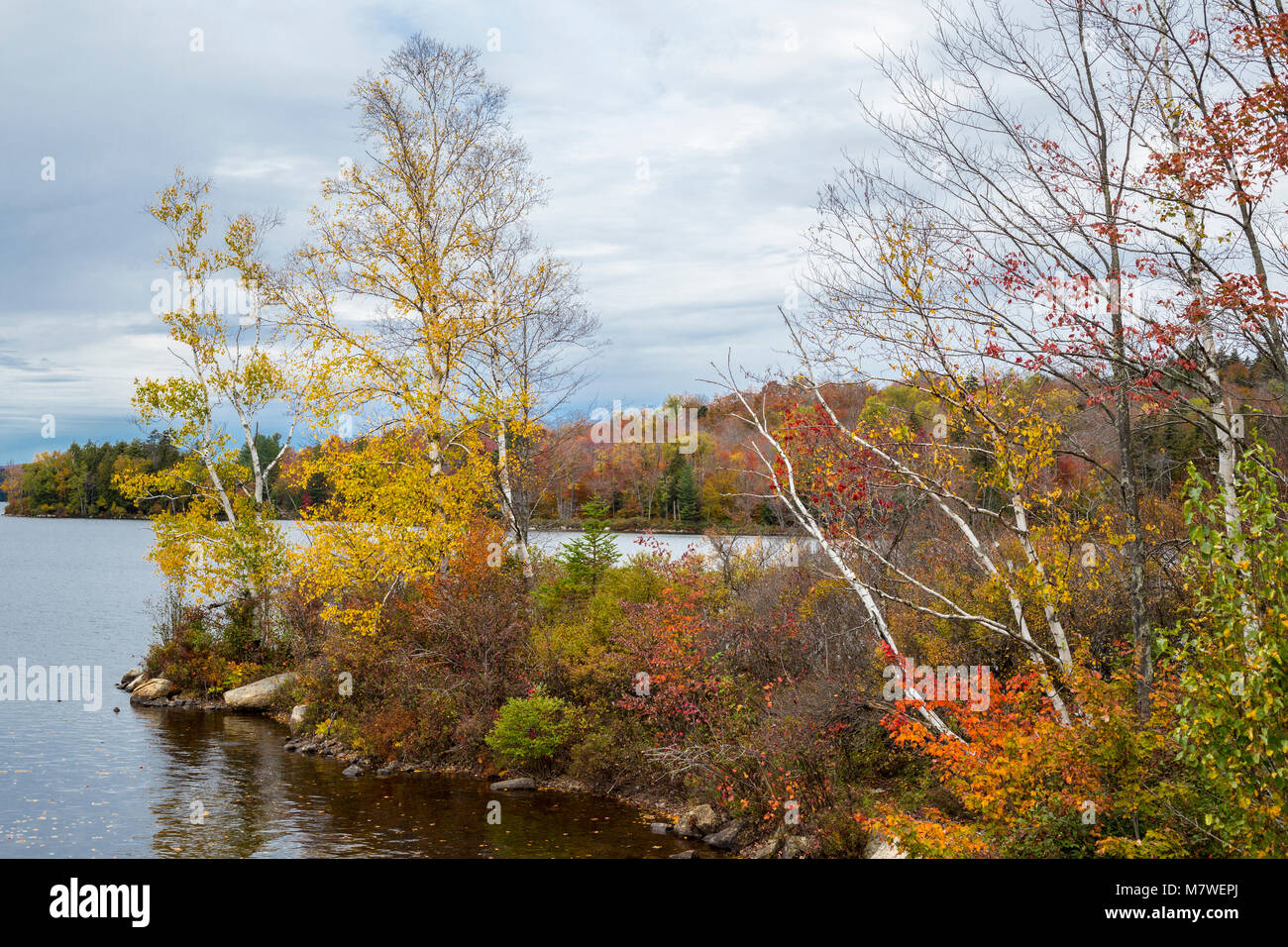 Tupper Lake en el follaje de otoño, el Estado Superior de Nueva York, EE.UU.. Foto de stock