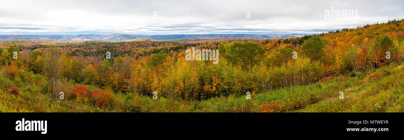 El follaje de otoño de Vermont desde la Autopista Estatal 9, al oeste de Brattleboro. Foto de stock