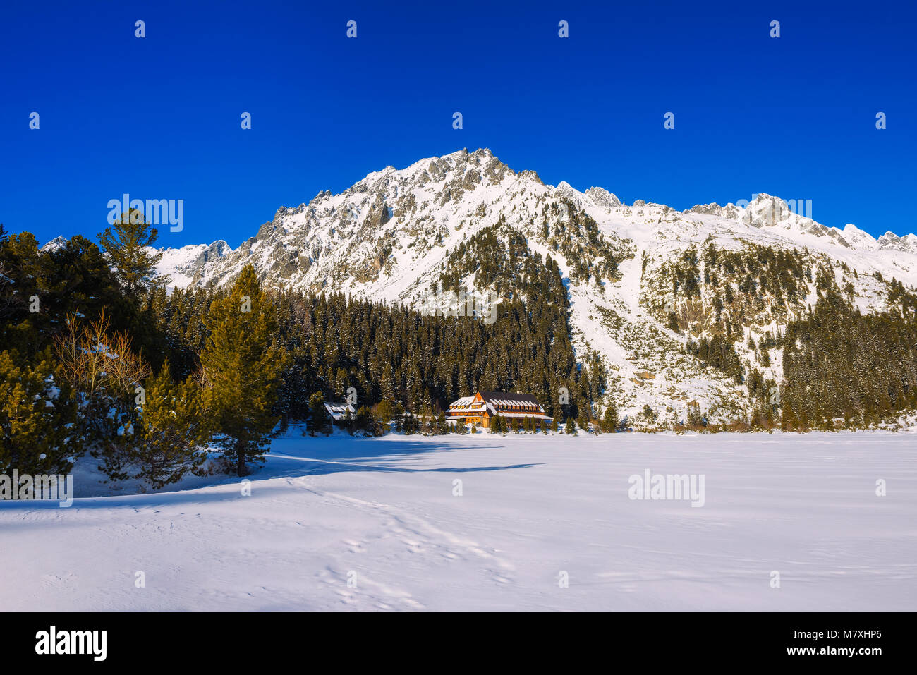Vista invernal del lago glacial en Altas Tatras, Eslovaquia Foto de stock