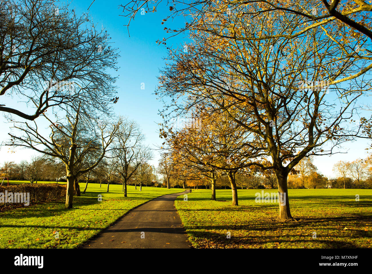 Un paseo otoñal a través de un parque de Londres. Foto de stock
