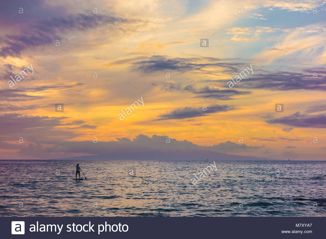 Paddleboarding y atardecer tropical de Kamaole Beach Park 3 del Océano Pacífico, en la isla de Maui en el estado de Hawaii, EE.UU. Foto de stock