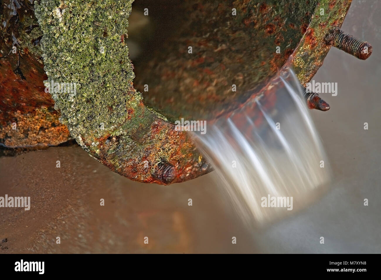 Percebe incrustada de tubo de hierro oxidados descargando agua sobre una playa. Llandudno, costa norte de Gales Foto de stock