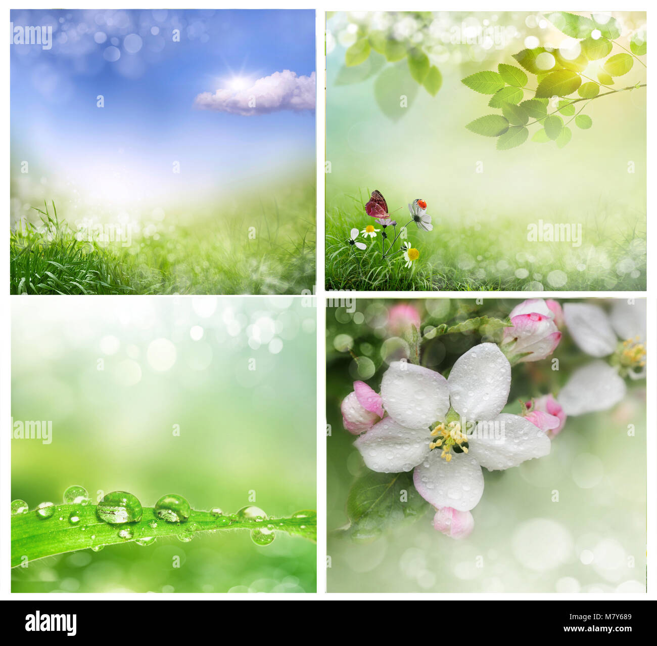Fondos de primavera fotografías e imágenes de alta resolución - Alamy