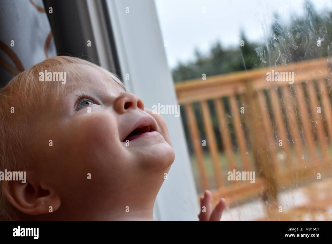 Bebé mira hacia arriba a través de la ventana Fotografía de stock - Alamy