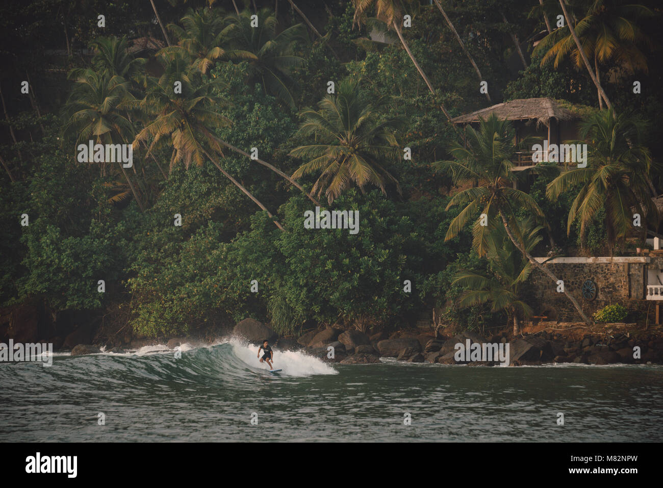 Mañana surfista en Marissa beach en Sri Lanka Foto de stock