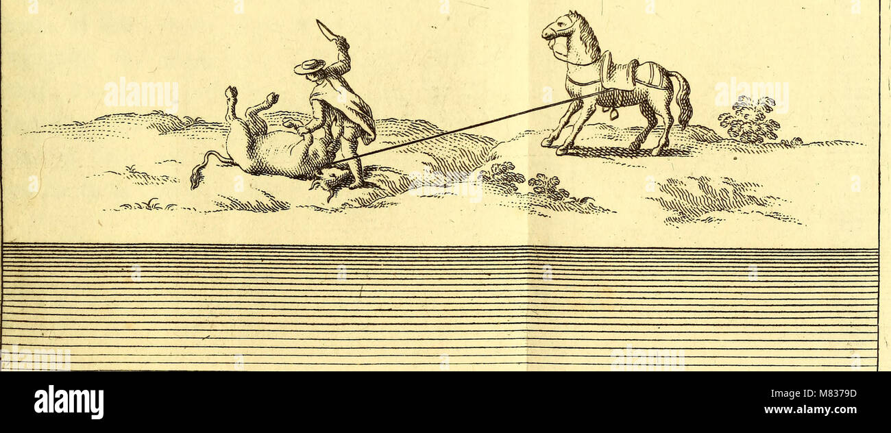 Compendio della storia geografica, naturale e civile del regno del Chile (1776) (20049969223) Foto de stock
