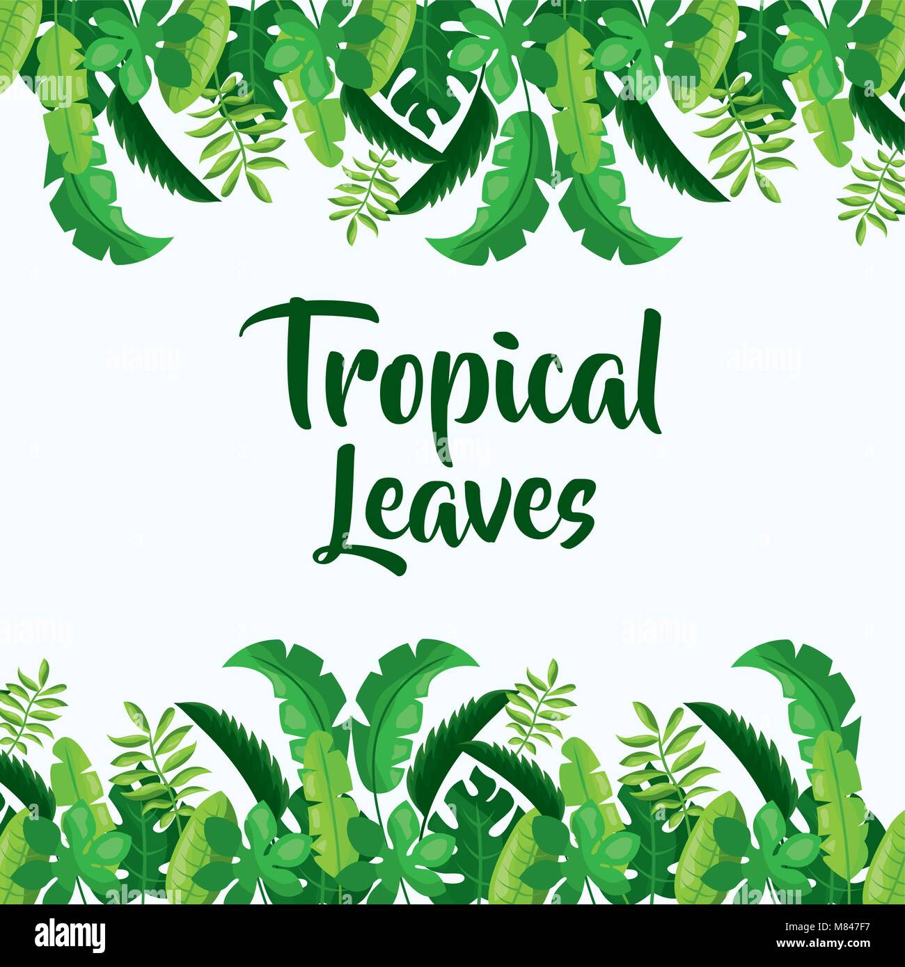 Hojas Tropicales Naturales Decoracion De Follaje Ilustracion Vectorial Imagen Vector De Stock Alamy