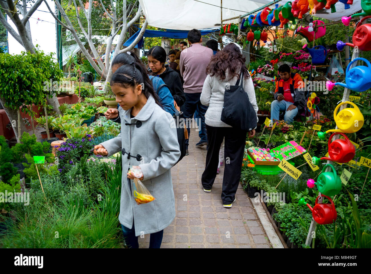 La gente local compra plantas en el mercado de flores, San Miguel de Allende, Guanajuato, México Foto de stock