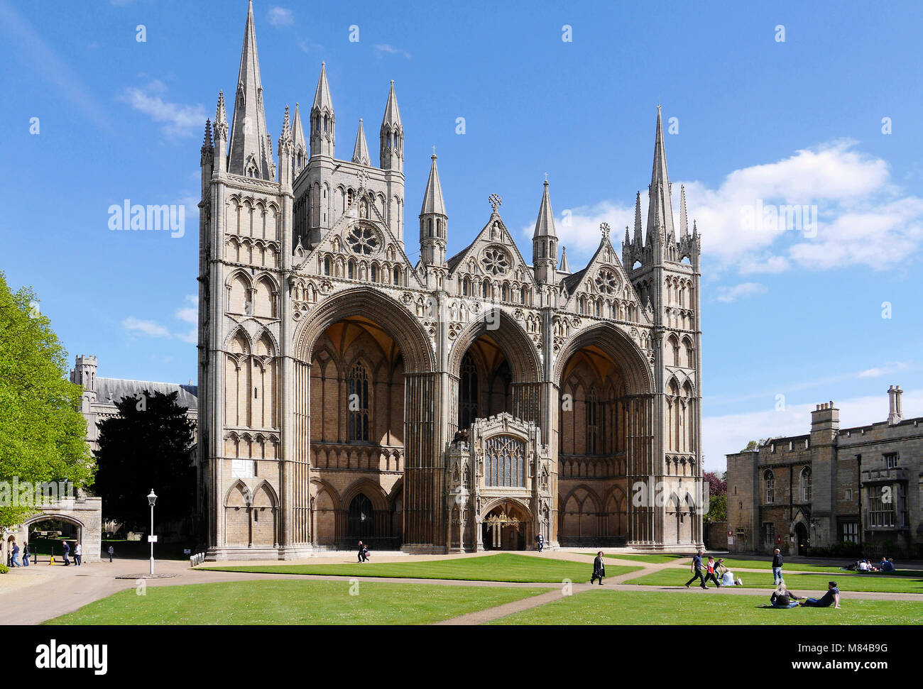La catedral de Peterborough, Cambridgeshire, Inglaterra, Reino Unido. Foto de stock