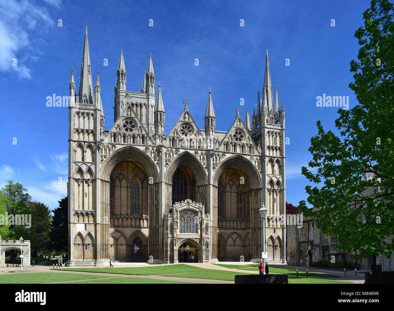 La catedral de Peterborough, Cambridgeshire, Inglaterra, Reino Unido. Foto de stock