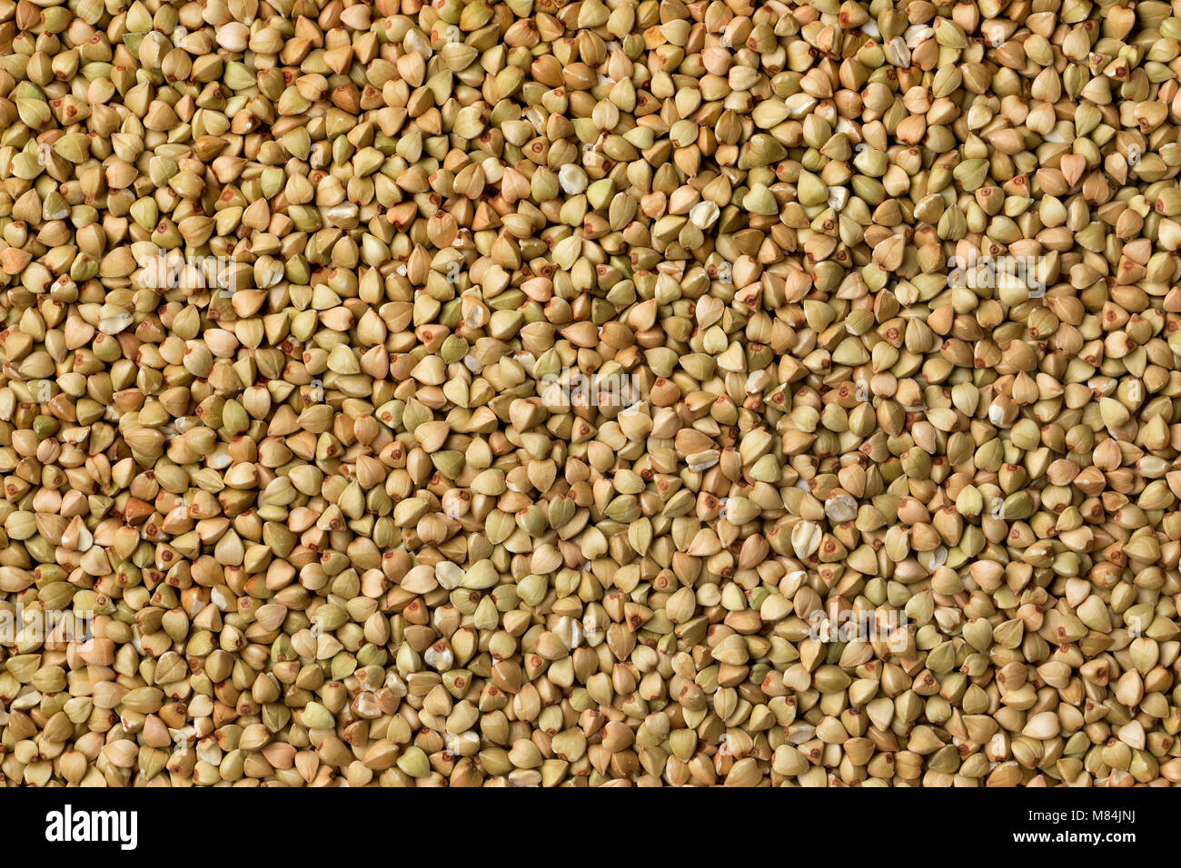 Semillas de trigo sarraceno secos full frame Foto de stock