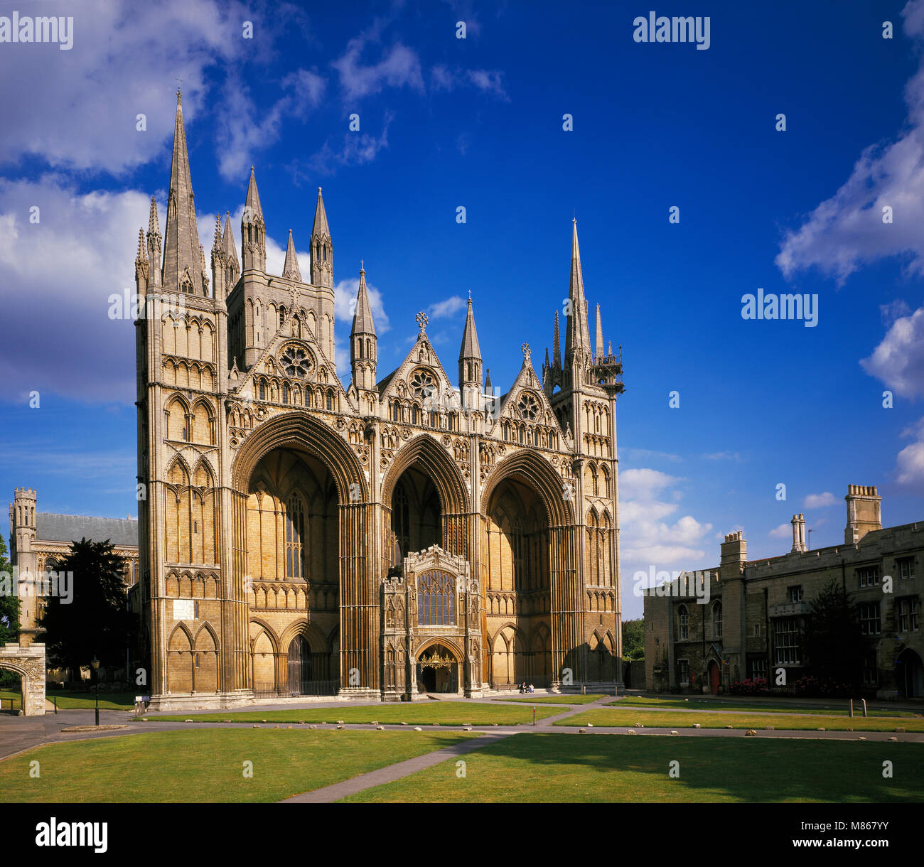 La catedral de Peterborough Cambridgeshire Inglaterra Foto de stock