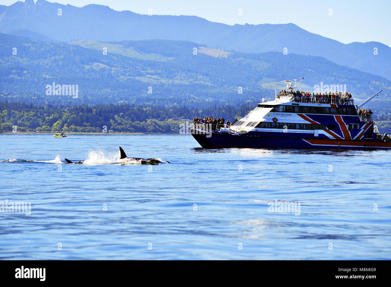Avistamiento de ballenas en las costas de Canadá Foto de stock