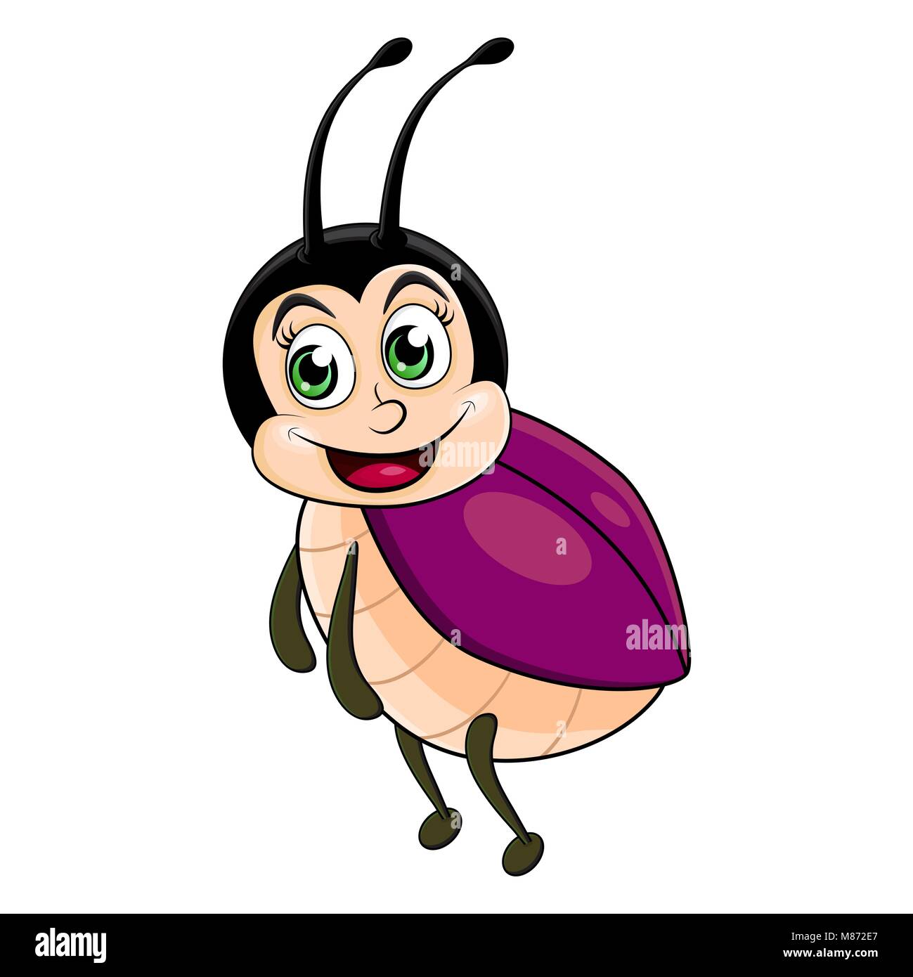 Escarabajo dama insecto aislado sobre fondo blanco. Ilustración del Vector