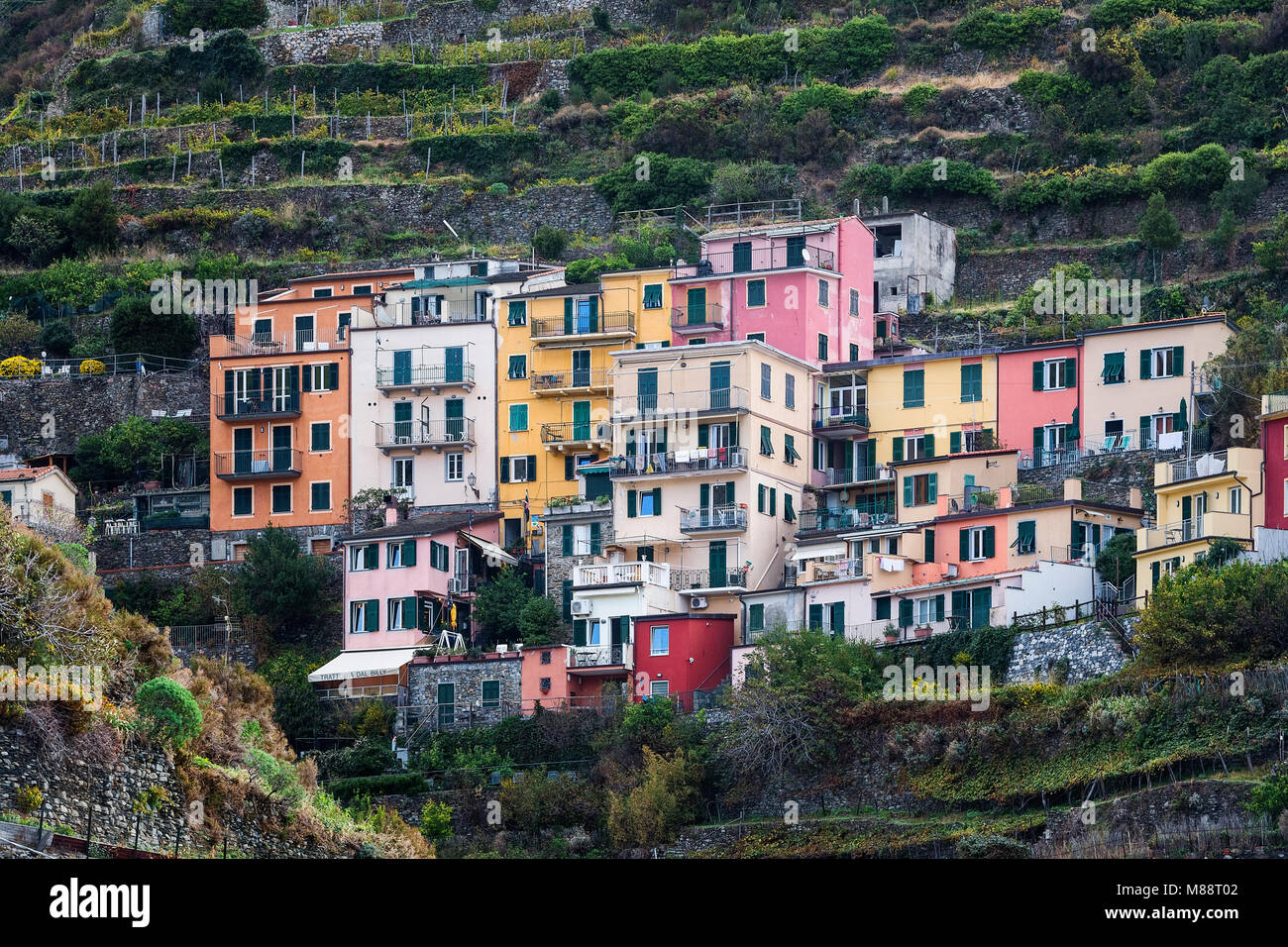Su encantadora arquitectura en el pueblo de Manarola, Cinque Terre, Liguria, Italia. Foto de stock