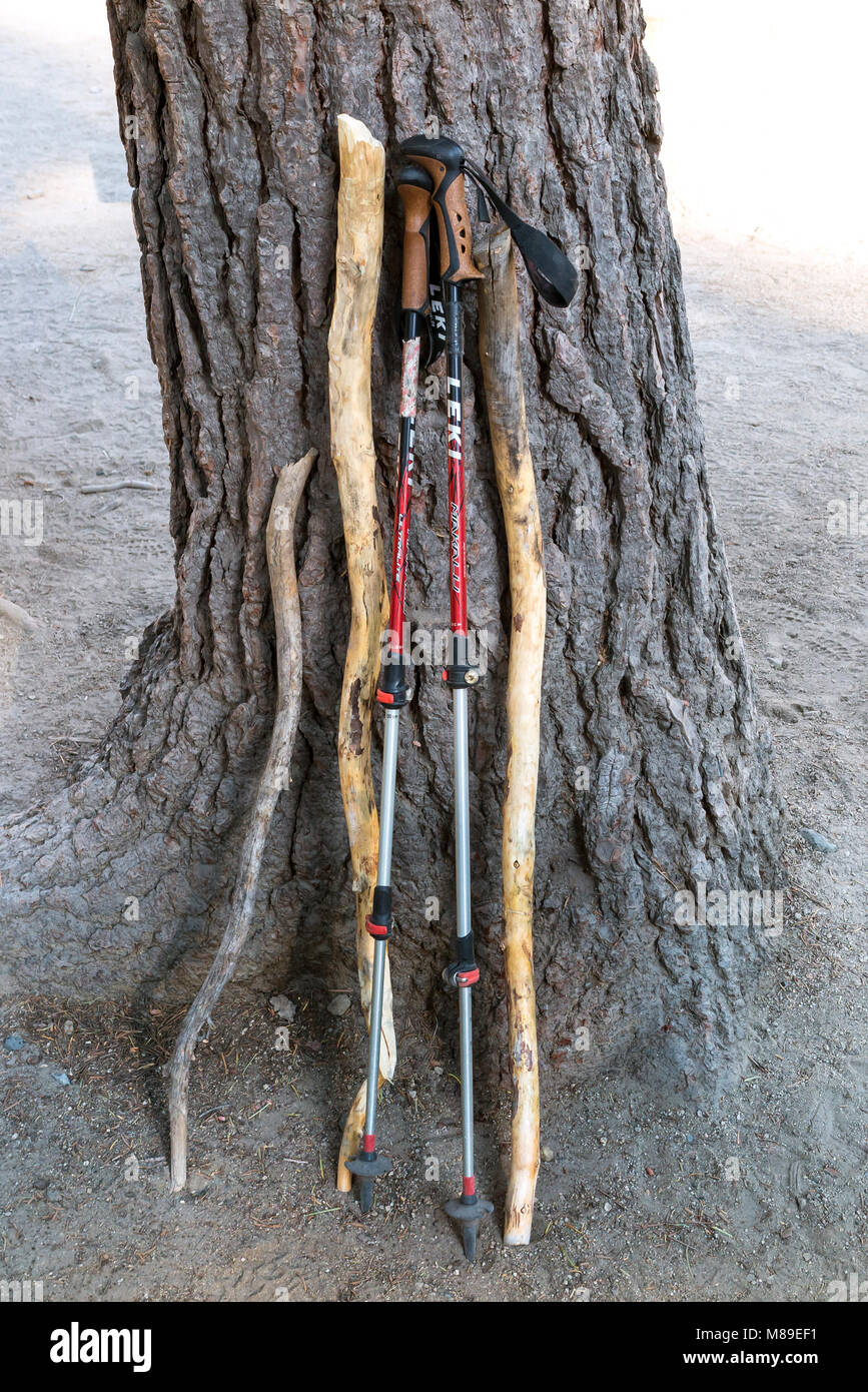 CA03361-00...CALIFORNIA - bastones, naturales y hechos por el hombre en los prados rojos Devils Post Pile Monumento Nacional. Foto de stock