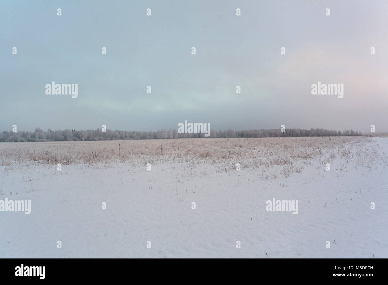 El paisaje cubierto de nieve, Ural, Sverdlovsk, Rusia Foto de stock