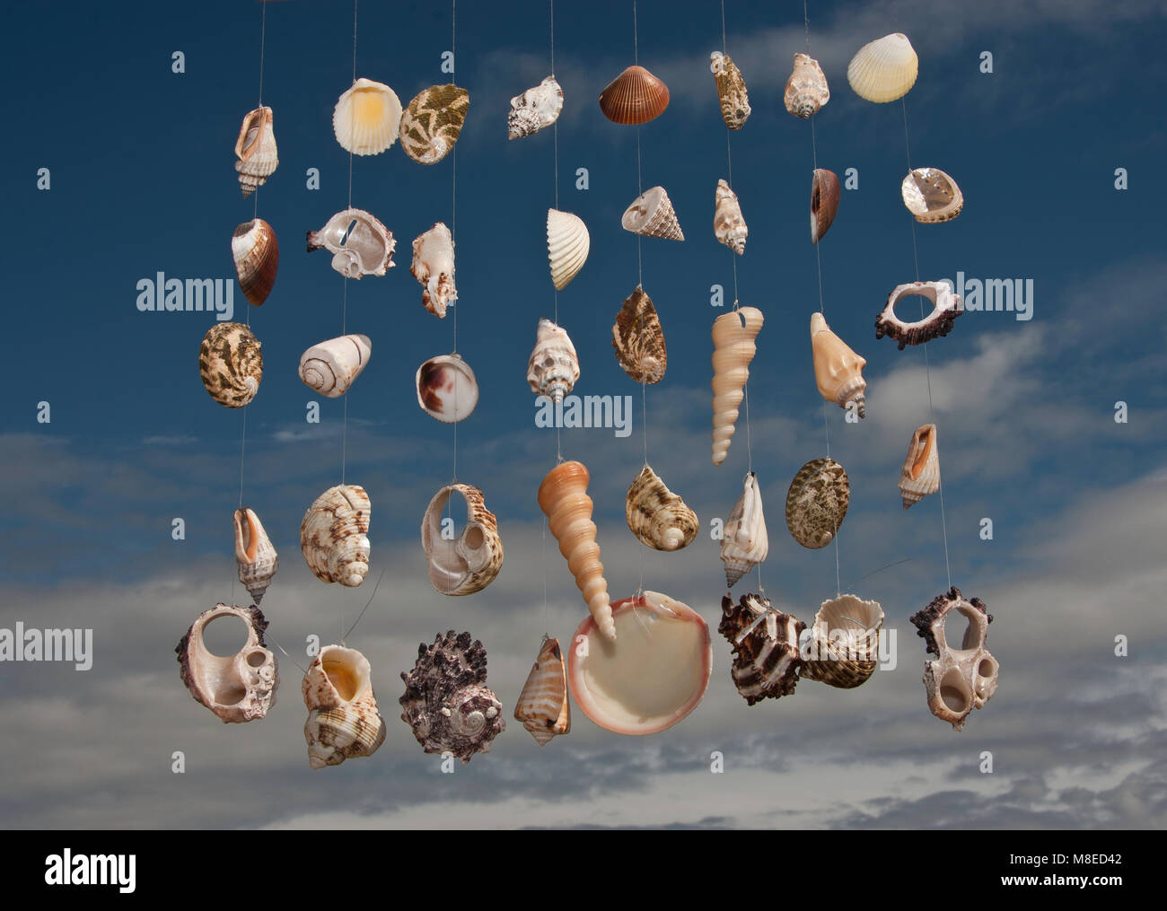 móvil mostrar colgantes de conchas de mar contra un cielo azul de stock - Alamy