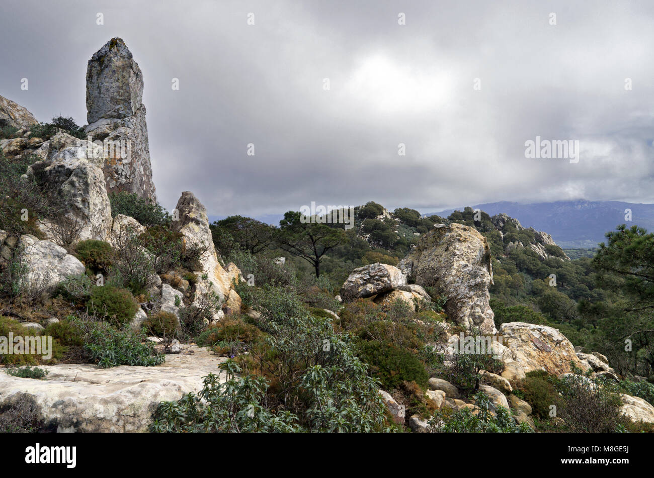 El Parque Natural del Estrecho en Cádiz (España) está situado en el lado norte del Estrecho de Gibraltar. Protege una amplia gama de ecosistemas y especies. Foto de stock