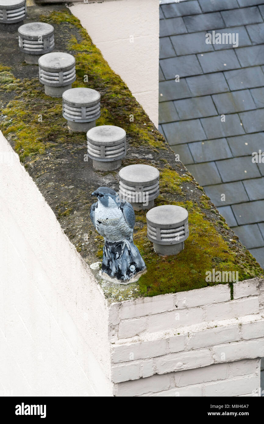 Réplica de señuelo ave de rapiña en la cima del edificio como un disuasivo de paloma, al noreste de Inglaterra, Reino Unido. Foto de stock