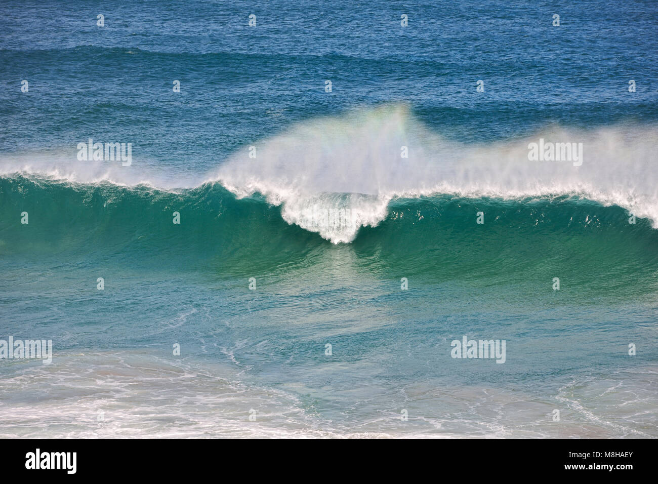 Una hermosa onda en costa de Sagres. Sudoeste Alentejano y Costa Vicentina, Parque de la naturaleza de la costa atlántica más salvajes en Europa. Portugal Foto de stock