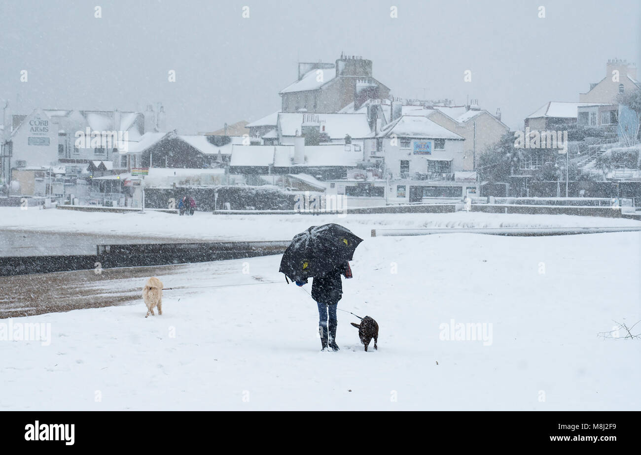 Nieve en Lyme Regis, 18 de marzo de 2018. El clima del Reino Unido: una joven mujer batallas con su paraguas mientras camina a sus perros en la playa en la localidad costera de Dorset Lyme Regis como la bestia de Oriente 2 btes. Celia crédito McMahon/Alamy live news. Foto de stock