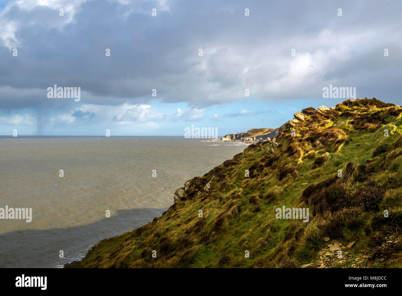 Great British Paisajes - North Devon Costa (Whiting Cove) Foto de stock